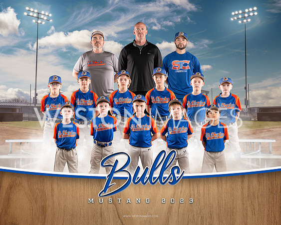 8x10 TEAM PHOTO