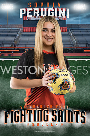 SENIOR BANNER