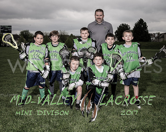Mid-Valley Raptors - Minis