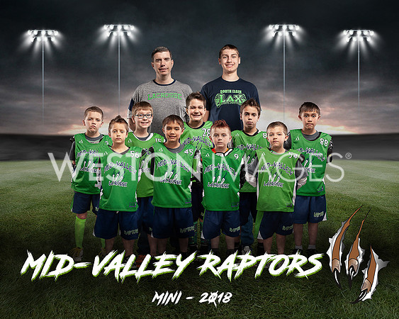 Mid-Valley Raptors - Mini Team